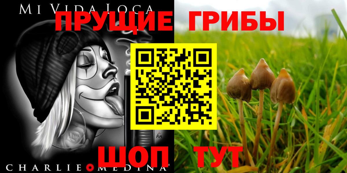 Псилоцибиновые грибы ЛСД  Вход с VPN  Чита 