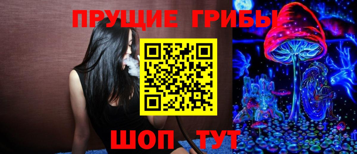 Псилоцибиновые грибы Cubensis Чита
