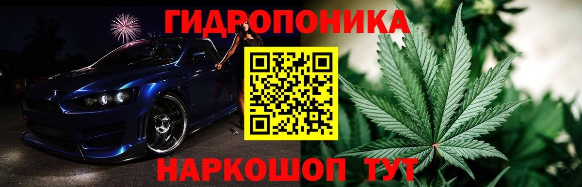 Каннабис план  Вход с VPN  Марихуана сатива  Чита  Бошки Шишки сатива 